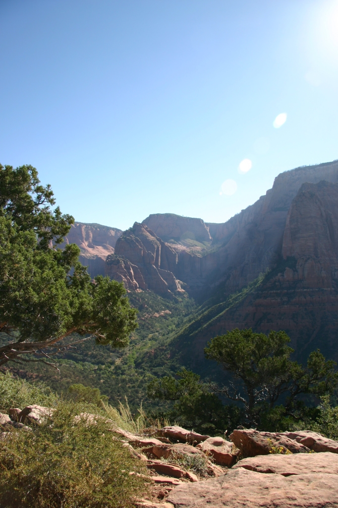 05 - Zion NP (12).jpg